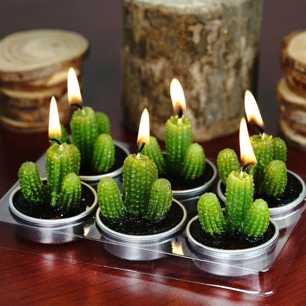 🌵6 Pack of Aguacolla Cactus Tealights! 🌵