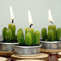 🌵6 Pack of Aguacolla Cactus Tealights! 🌵